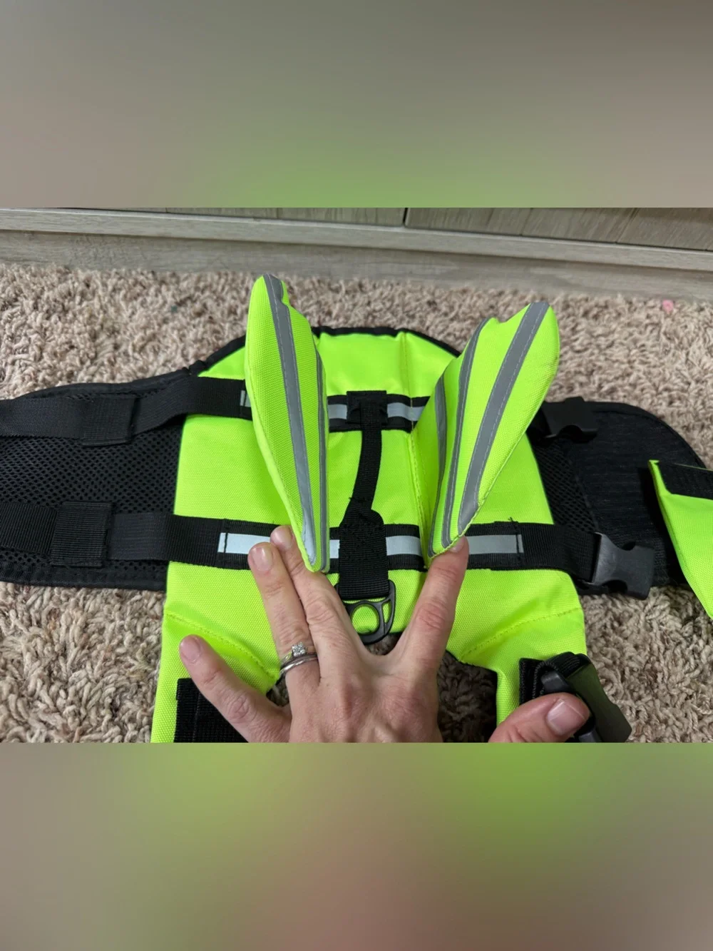 Life vest -XS- small dog or cat (with wings and handle) like new